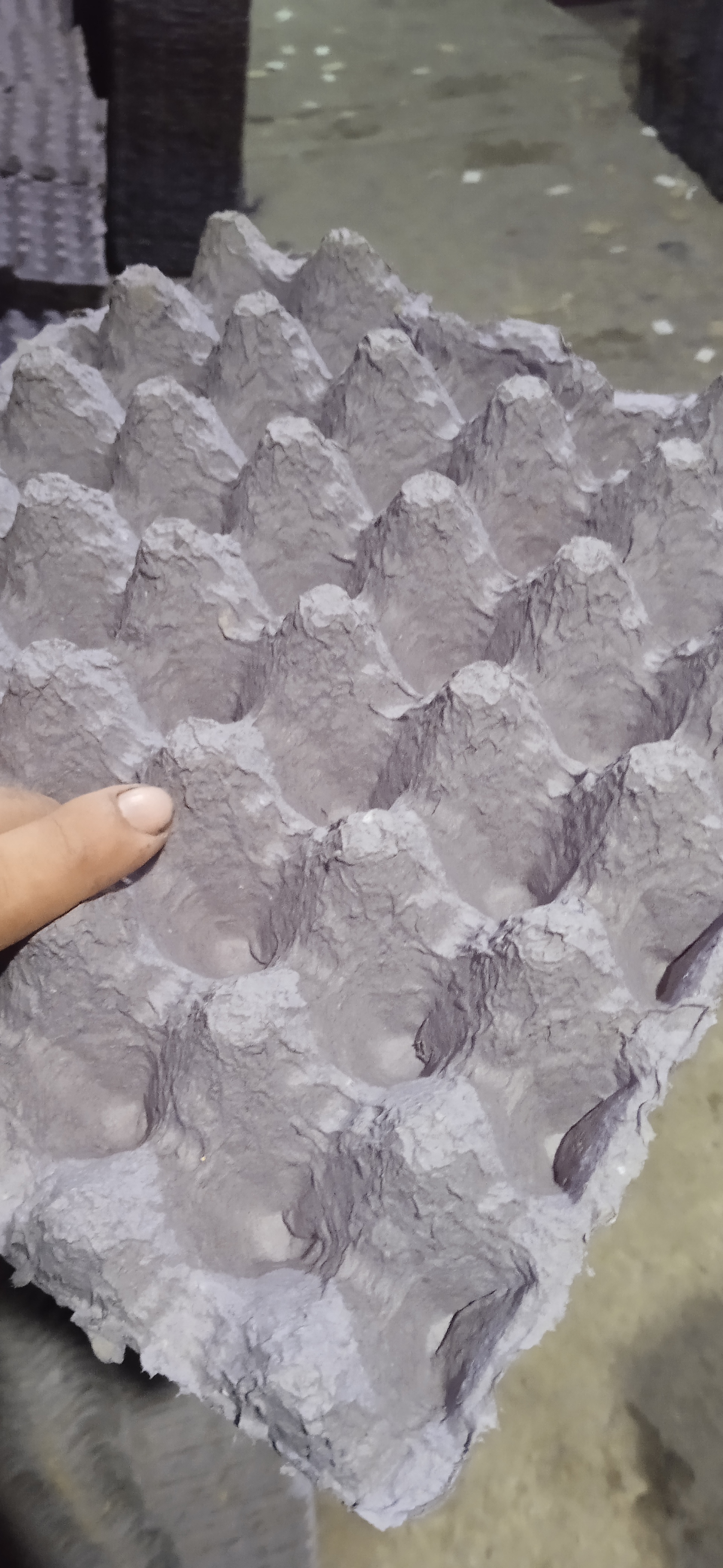 اطباق البيض